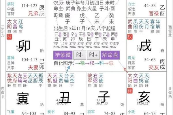 紫薇斗数阴阳属性