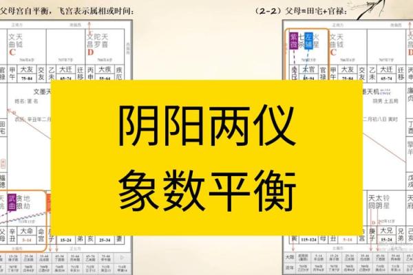 紫薇斗数阴阳属性