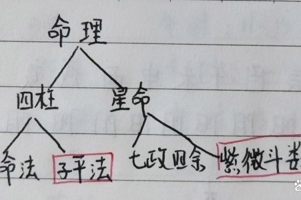 八字与子嗣
