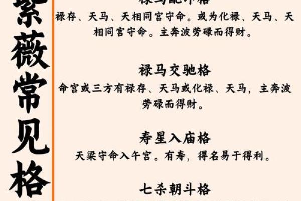 紫薇斗数怎么从看到配偶的学历 紫薇斗数怎么从看到配偶的学历