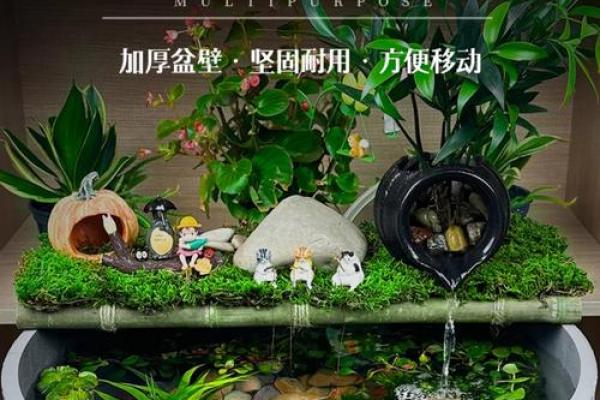 书房里摆放鱼缸养鱼这样风水会好吗