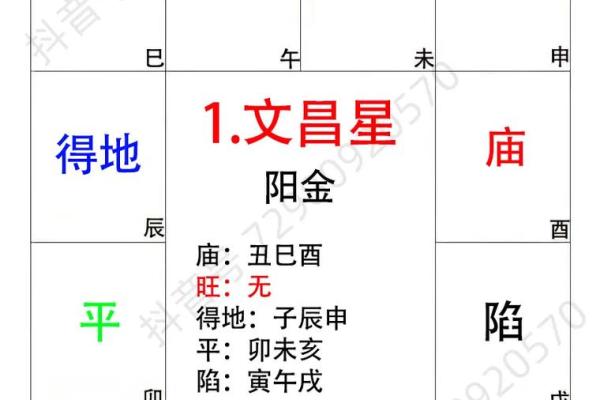 紫薇斗数教学初级