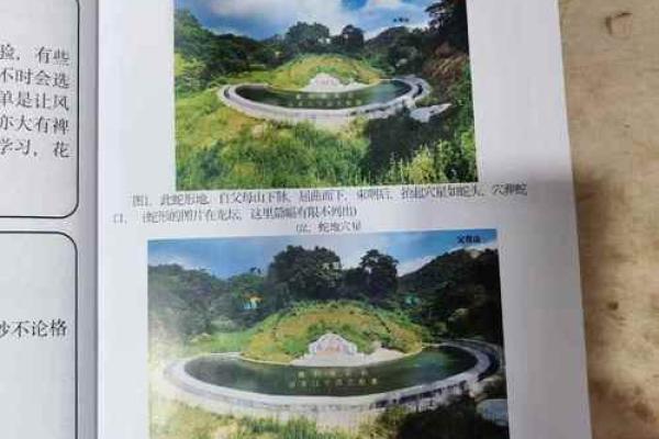 风水墓地_风水玄幻小说排行榜