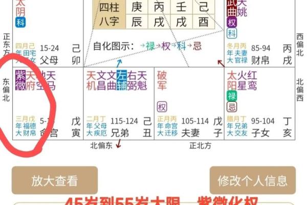 紫薇斗数算命软件