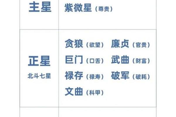 紫薇斗数算命软件