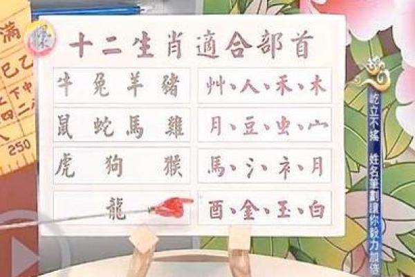 八字是什么肖