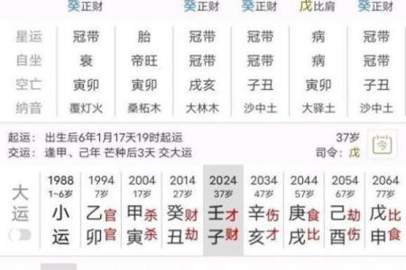 八字壬寅