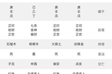 八字夫宫水