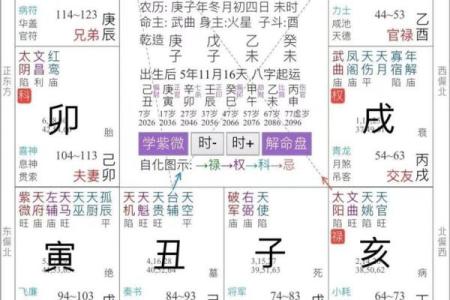 紫薇斗数阴阳属性