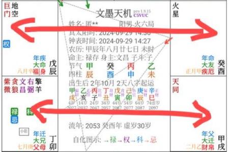 紫微斗数诸星落诸宫之：破军星子女宫详解