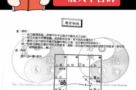 紫薇斗数教学初级