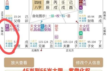 紫薇斗数算命软件