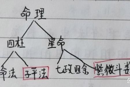 八字算命：看宝宝命格，揭秘未来前程！