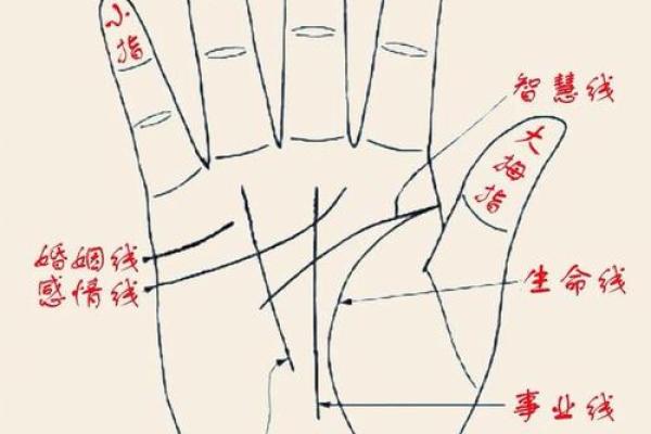 图解;手相赌运纹算命