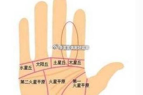 图解;手相赌运纹算命