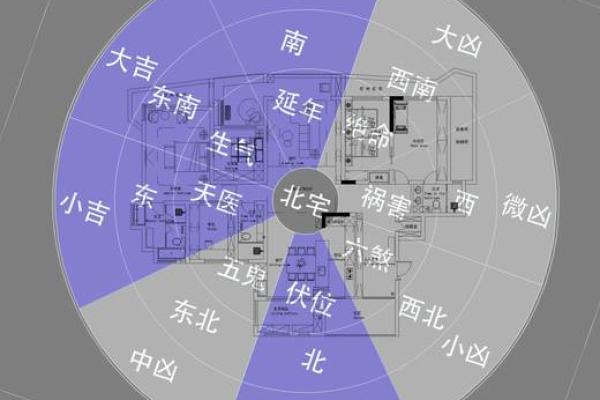 鼠老大的名字,方位六煞在哪