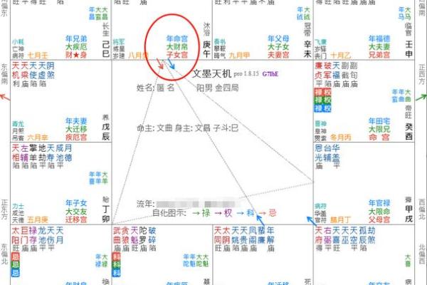 紫薇斗数未宫在哪个方位 紫薇斗数未宫在哪个方位