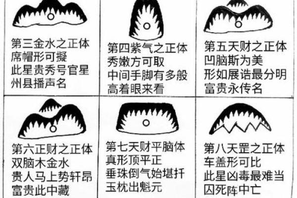 紫薇斗数哪里最准
