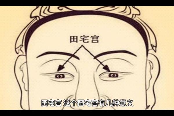 紫薇斗数田宅宫看富贵层次