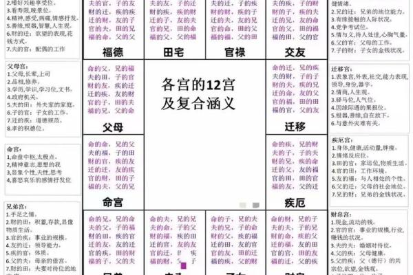 紫薇斗数解释