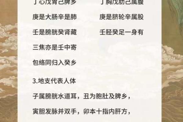 八字无水肾不好怎么办