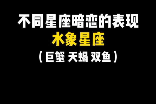 水象星座适合什么人