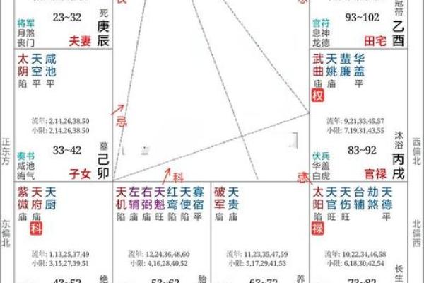 紫薇斗数测试APP