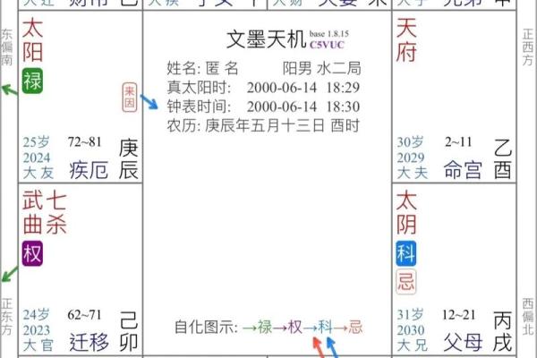 紫薇斗数四化与正星