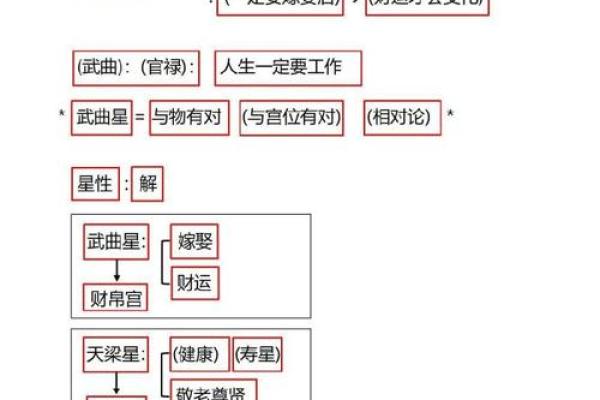 紫薇斗数四化与正星