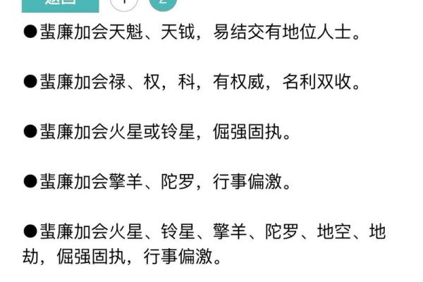 飞廉紫薇斗数流年