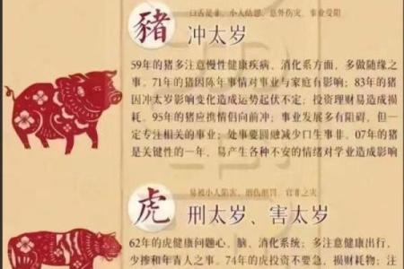 鼠老大的名字,方位六煞在哪