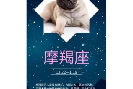 12星座摩羯座适合养什么狗