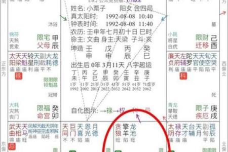 紫薇斗数小限详解
