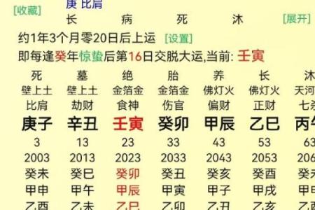 八字童子命查询注意事项