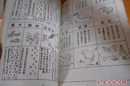 算命婚姻算什么