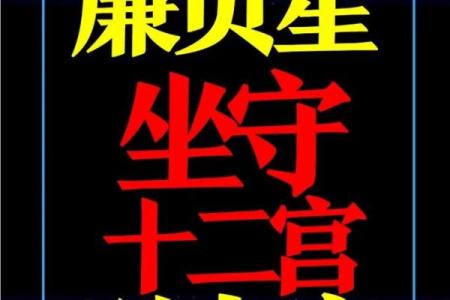 紫薇斗数中哪些属于财星