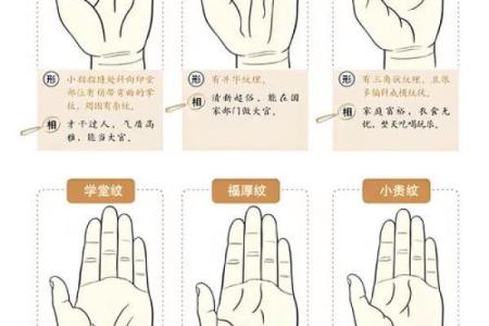 看指纹算命