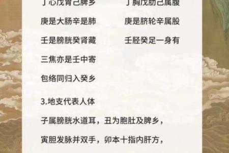 八字无水肾不好怎么办
