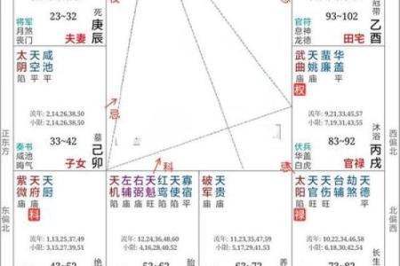 紫薇斗数测试APP
