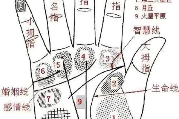 图解:手相中的智慧线算命 图解:手相中的智慧线算命