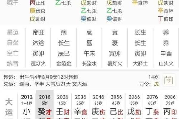 有博士学位的八字分析算命
