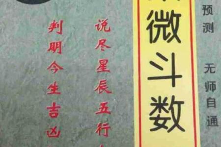陌元紫薇斗数