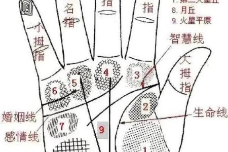 图解：手相中的智慧线算命