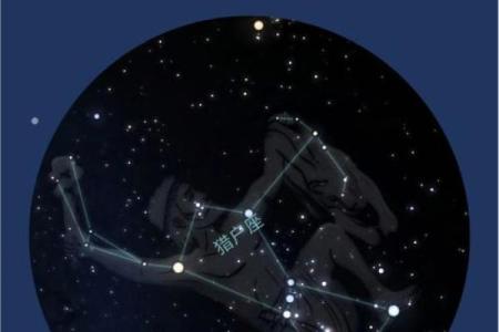 猎户座中最亮的星是哪颗星座