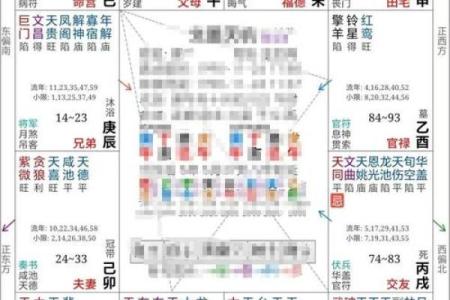 紫薇斗数看做什么