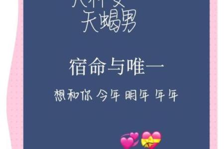 天秤男和什么星座在一起最合适女生