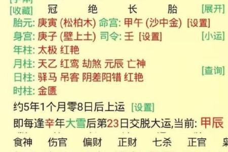 癸日的八字