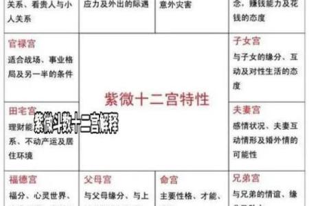 紫薇斗数开车撞人
