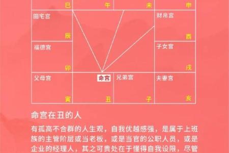紫微斗数之：论疾厄