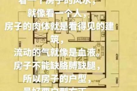 房子下什么软件看风水